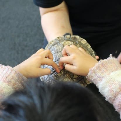 Image 37 from Activities